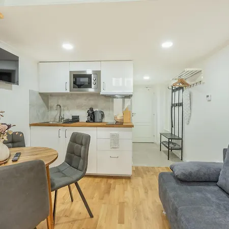 Homely I 28m2 Loft I Elevator I Self Check-in Διαμέρισμα Πράγα
